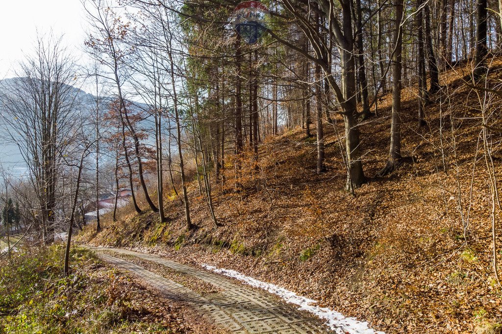 Działka budowlana na sprzedaż Szczyrk, Szczytowa  1 568m2 Foto 11