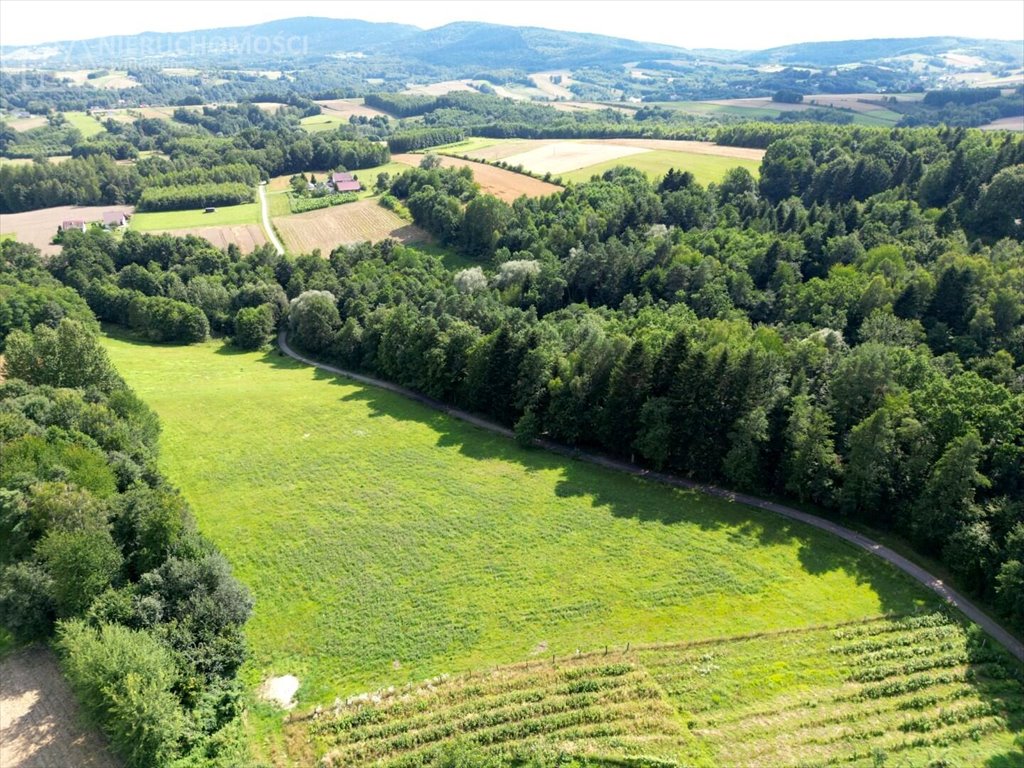 Działka budowlana na sprzedaż Błażkowa  2 559m2 Foto 11