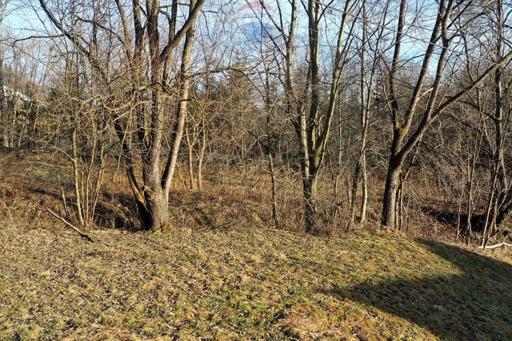 Działka rolna na sprzedaż Zakopane  1 202m2 Foto 16