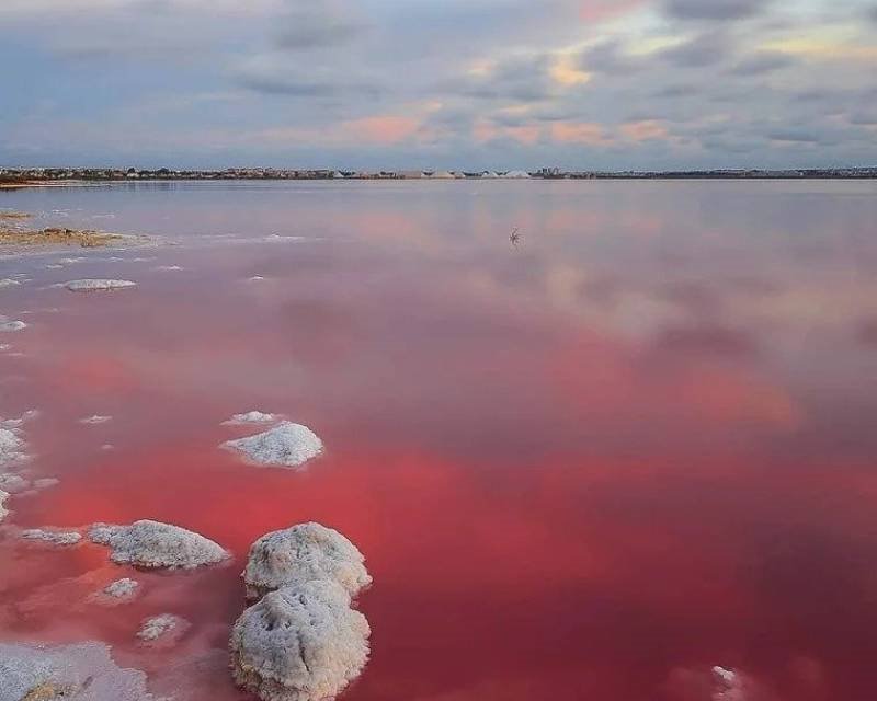 Dom na sprzedaż Hiszpania, Lago Jardin, Hiszpania, Lago jardin  75m2 Foto 21