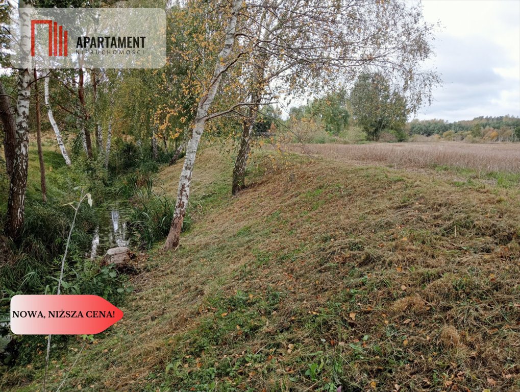 Działka budowlana na sprzedaż Branica  5 600m2 Foto 9