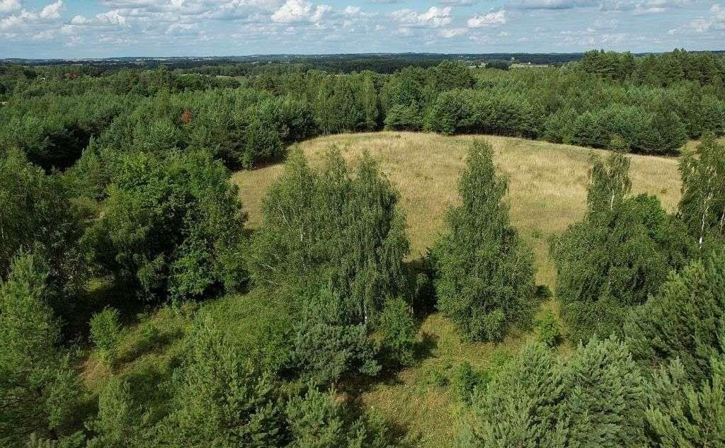 Działka budowlana na sprzedaż Cierzpięty  1 002m2 Foto 15