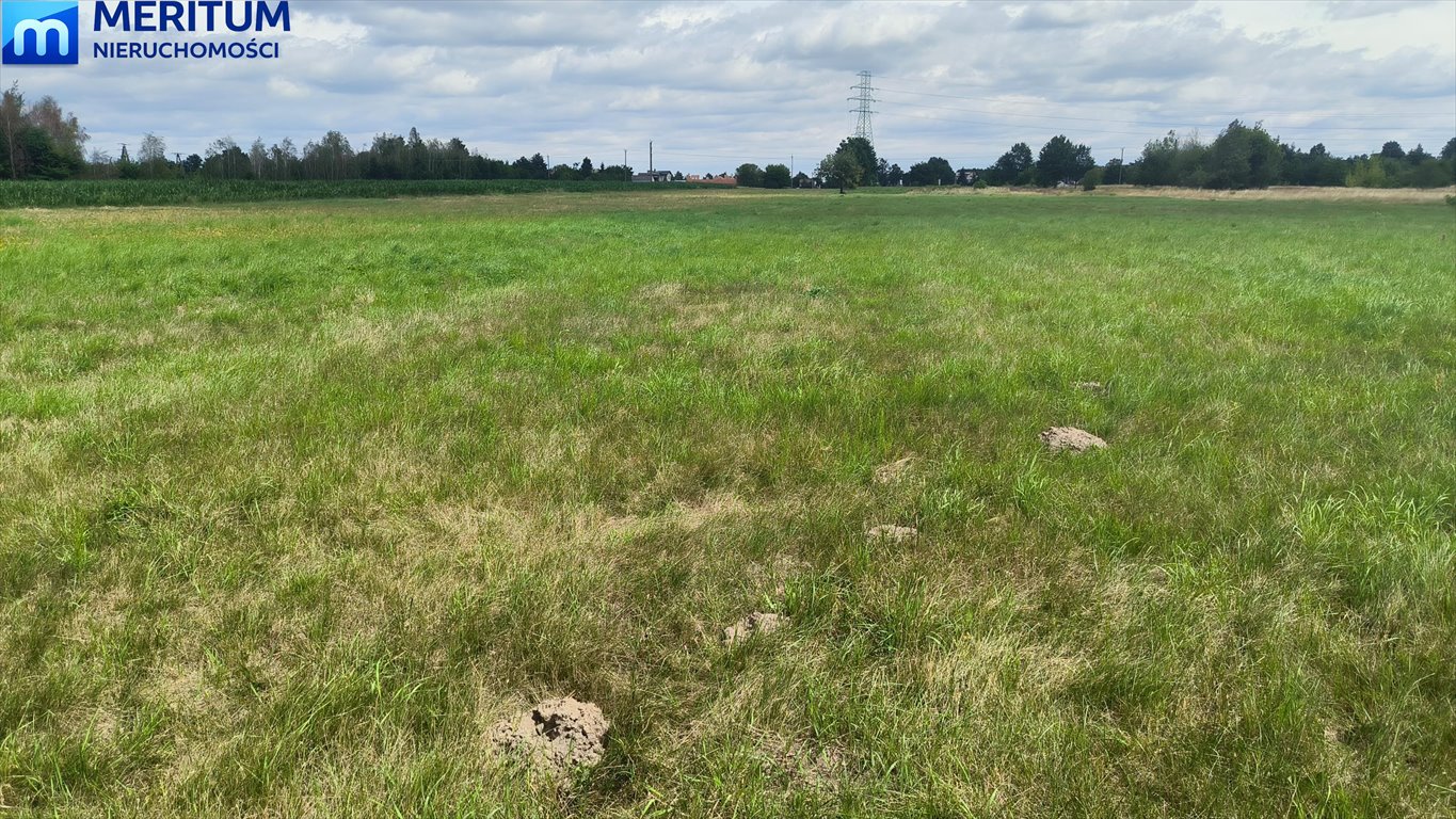 Działka inwestycyjna 5 ha w Żyrardowie z planem zagospodarowania Żyrardów  50 000m2 Foto 1