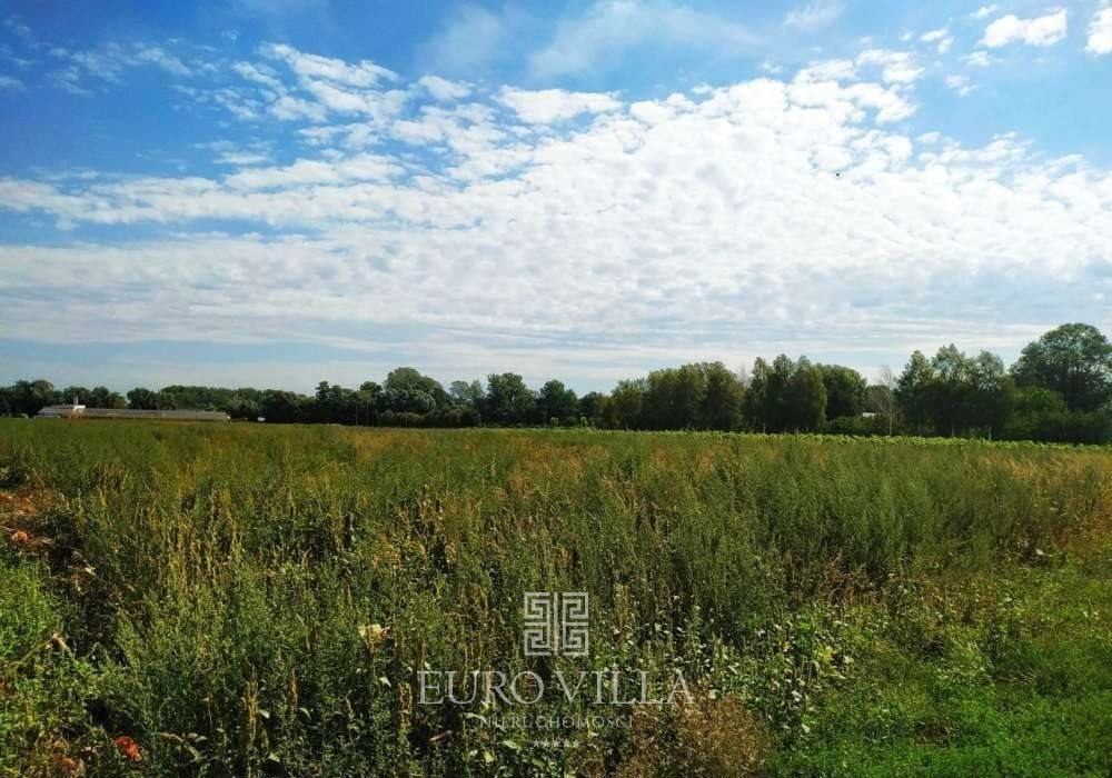 Działka budowlana na sprzedaż Warszawa, Wilanów Zawady, Ruczaj 11 542m2 Foto 1 Działka budowlana na sprzedaż Warszawa, Wilanów Zawady, Ruczaj 11 542m2 Foto 1