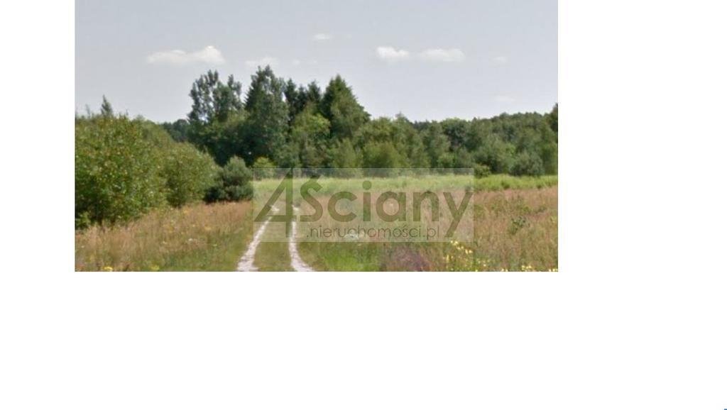 Działka budowlana na sprzedaż Strzeniówka  3 145m2 Foto 1