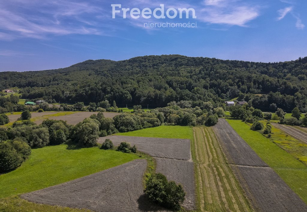 Działka rolna na sprzedaż Cieszyna  9 593m2 Foto 10