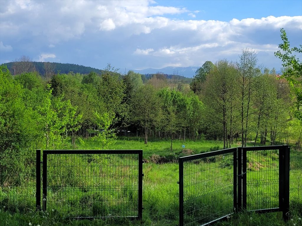 Działka budowlana na sprzedaż Rybnica  2 800m2 Foto 2