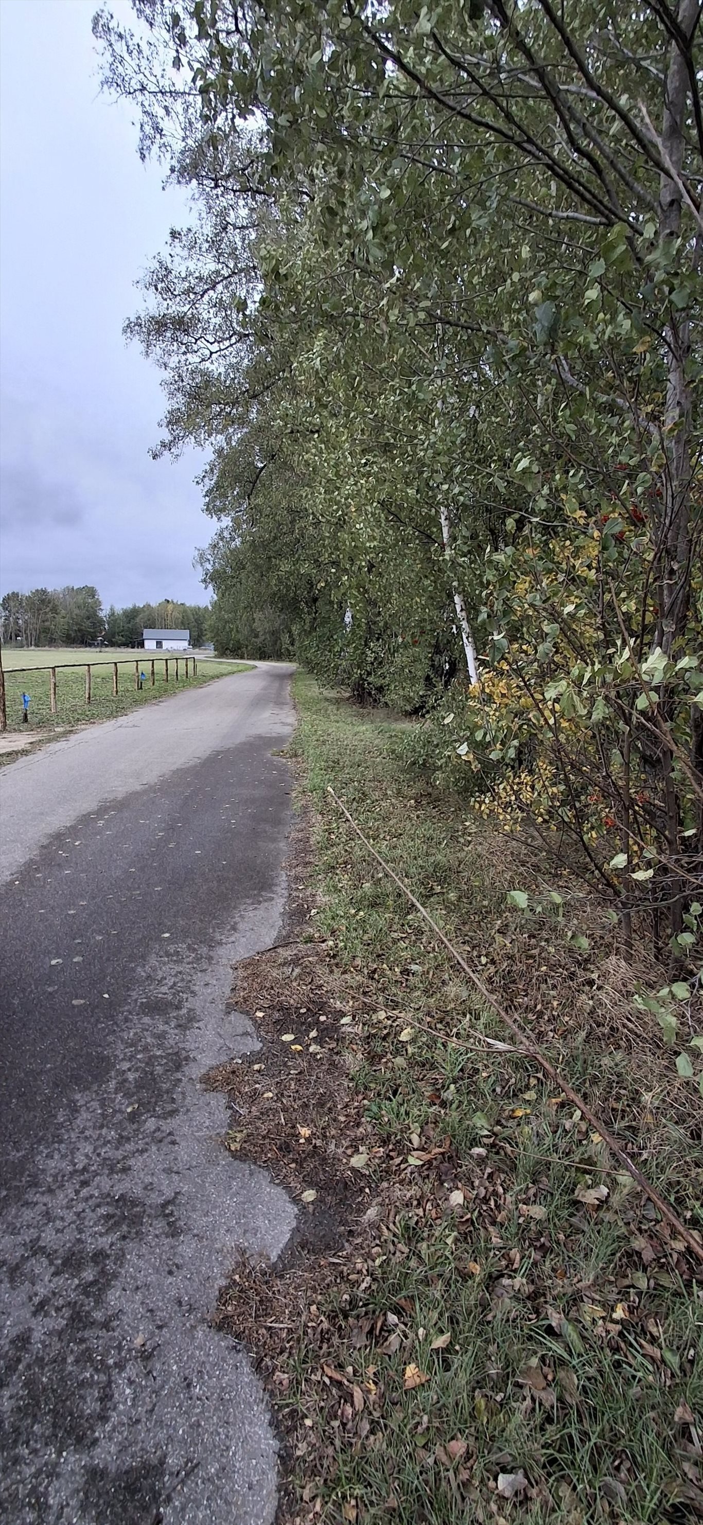 Działka budowlana na sprzedaż Zambrów  2 000m2 Foto 3