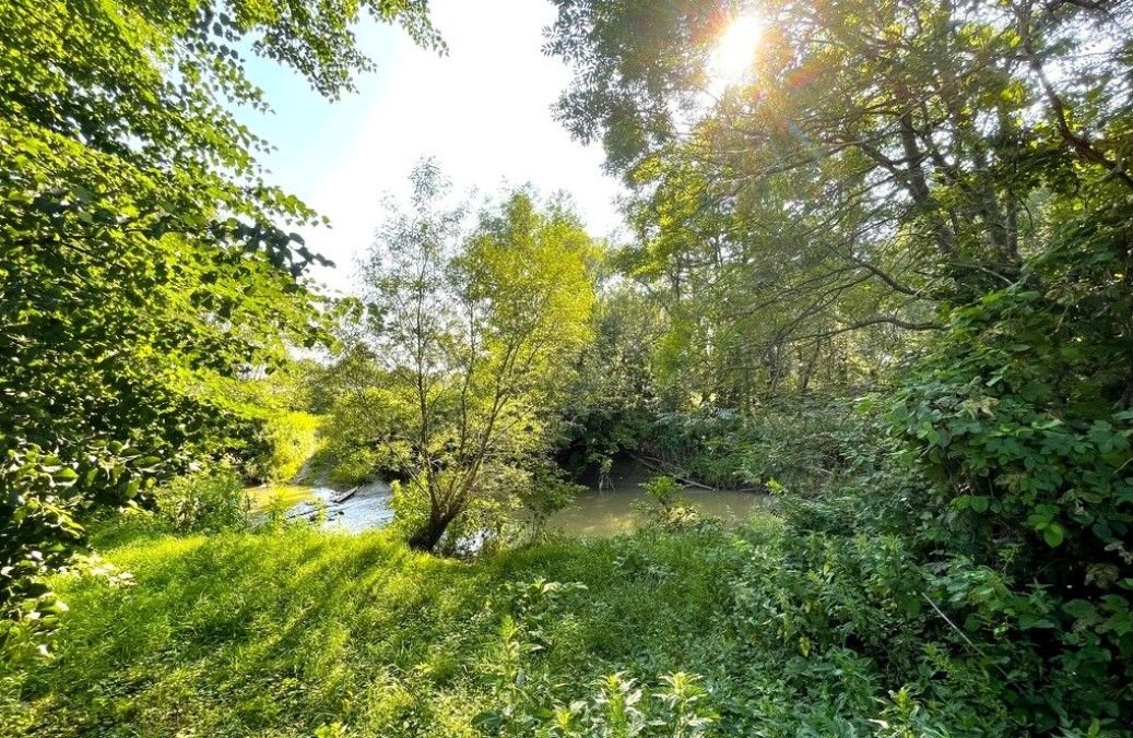 Urokliwa działka rolna 32 arów przy strumyku w Haczowie Haczów  3 183m2 Foto 1