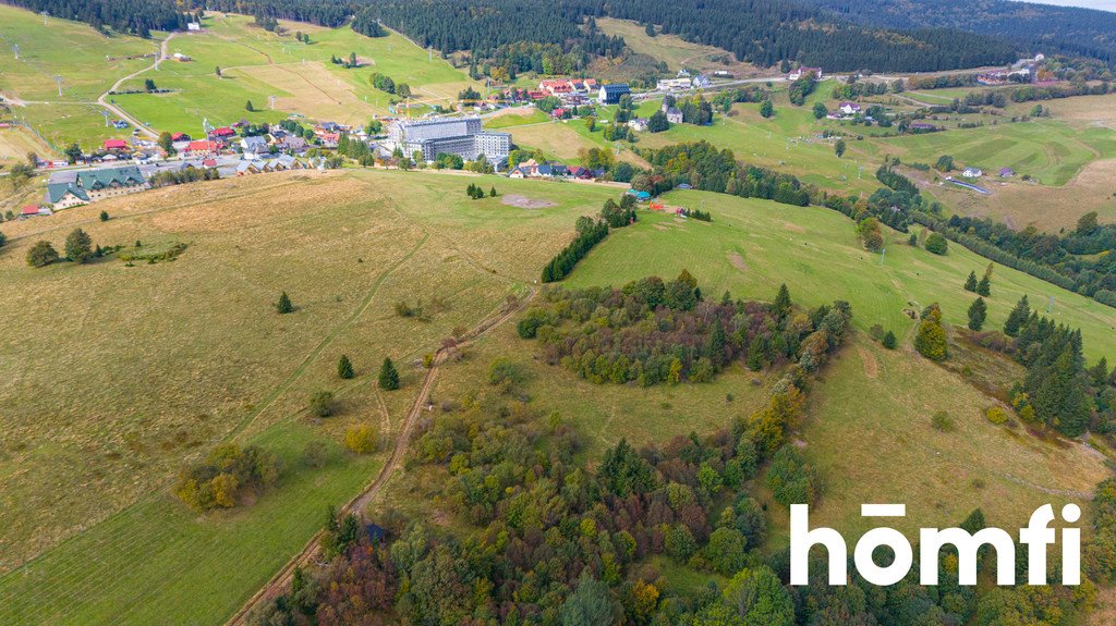 Działka budowlana na sprzedaż Duszniki-Zdrój, Zieleniec, Zieleniec  4 300m2 Foto 1