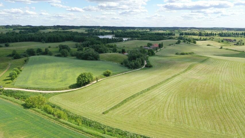 Działka budowlana na sprzedaż Talki  14 968m2 Foto 5