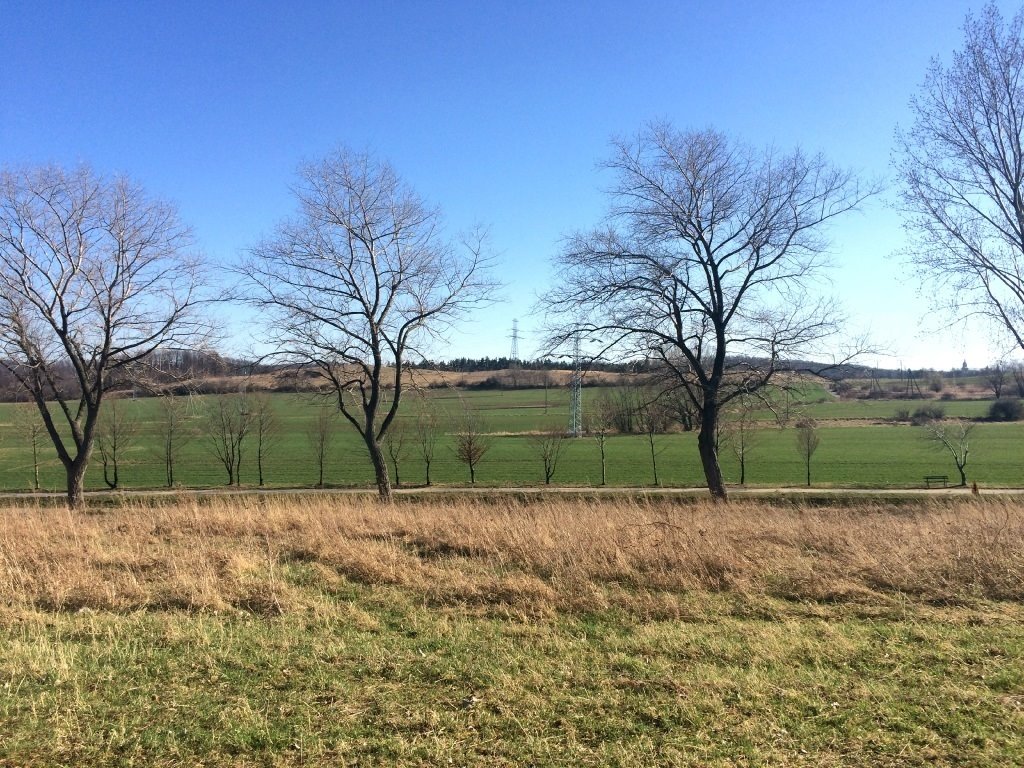 Działka budowlana na sprzedaż Świebodzice  5 764m2 Foto 6