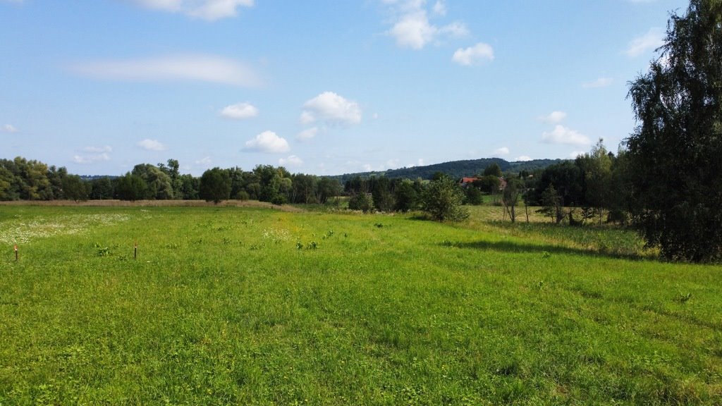 Działka budowlana na sprzedaż Borek Stary  3 100m2 Foto 7