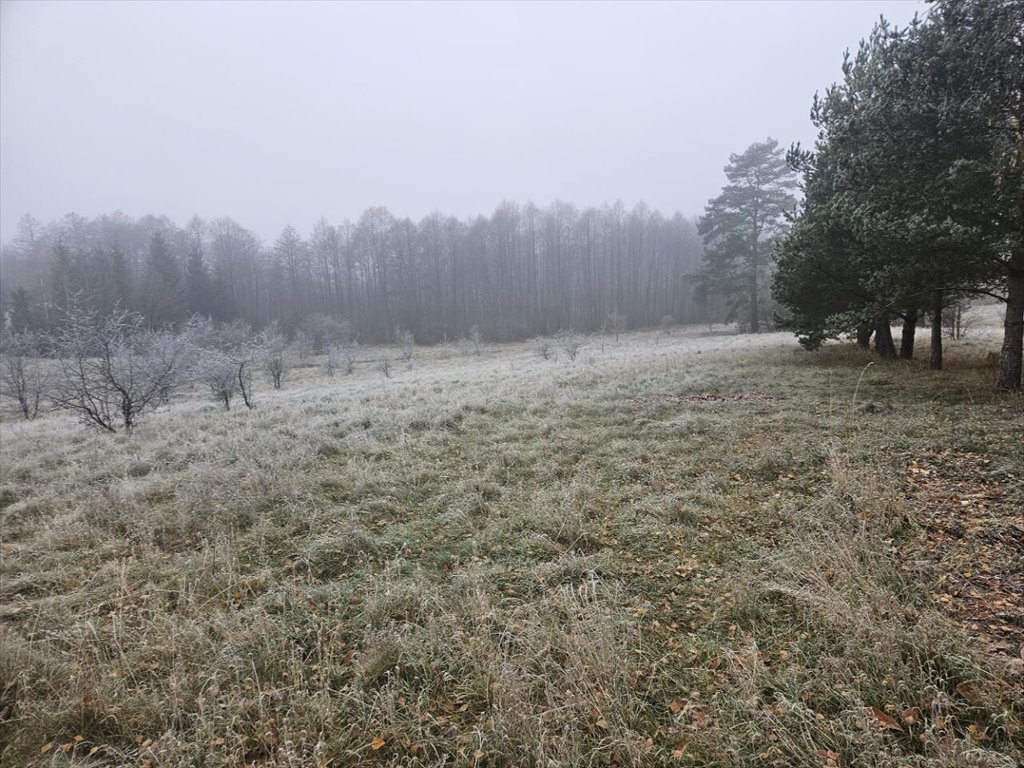 Działka rekreacyjna na sprzedaż Koczek  9 000m2 Foto 8