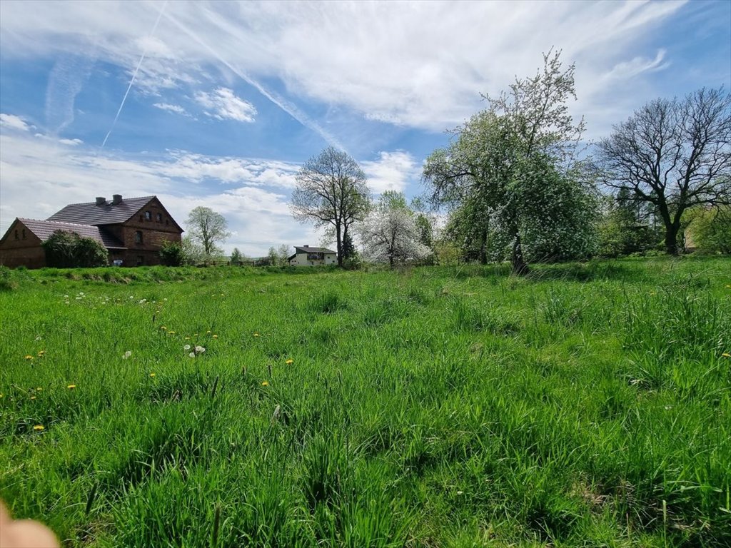 Działka budowlana na sprzedaż Smolnik  3 939m2 Foto 14