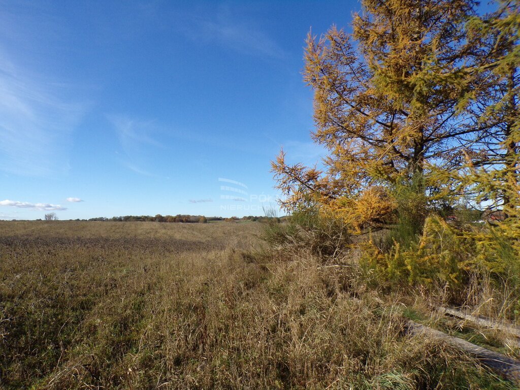 Działka budowlana na sprzedaż Wierzchocino  2 000m2 Foto 9