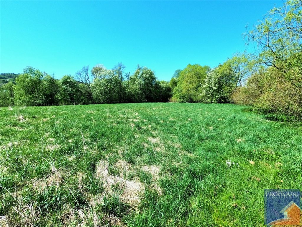 Działka budowlana na sprzedaż Mordarka  2 600m2 Foto 4