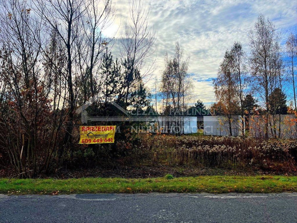 Działka budowlana na sprzedaż Uściąż, Uściąż  13 000m2 Foto 2