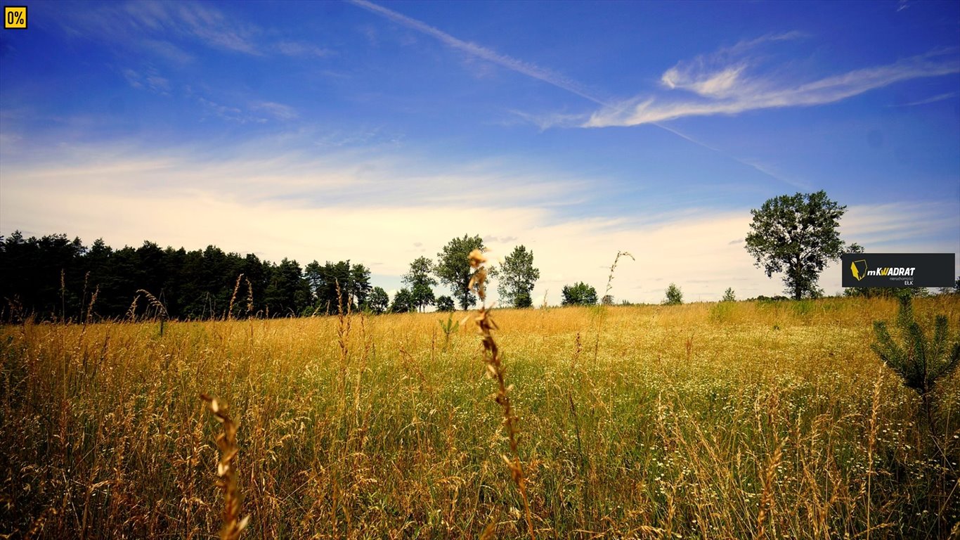 Działka inna na sprzedaż Chrzanowo  982m2 Foto 4