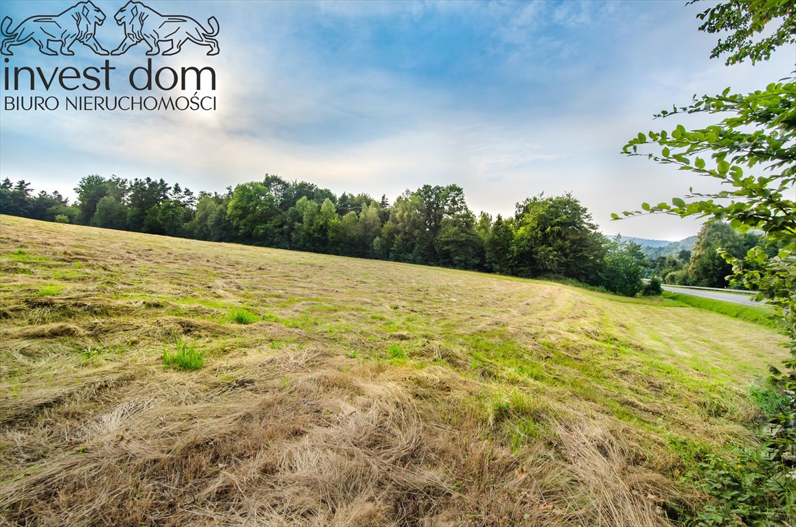 Działka budowlana na sprzedaż Małastów  24 800m2 Foto 3