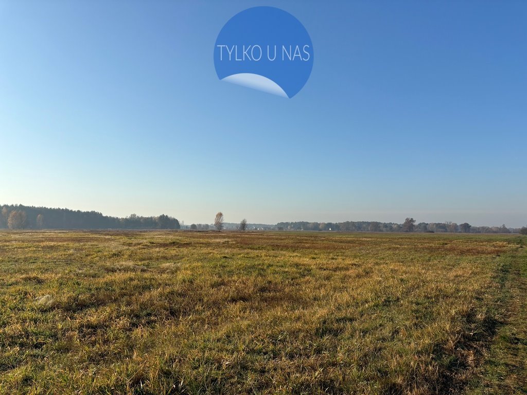 Działka rolna na sprzedaż Nowe Załubice  27 100m2 Foto 1