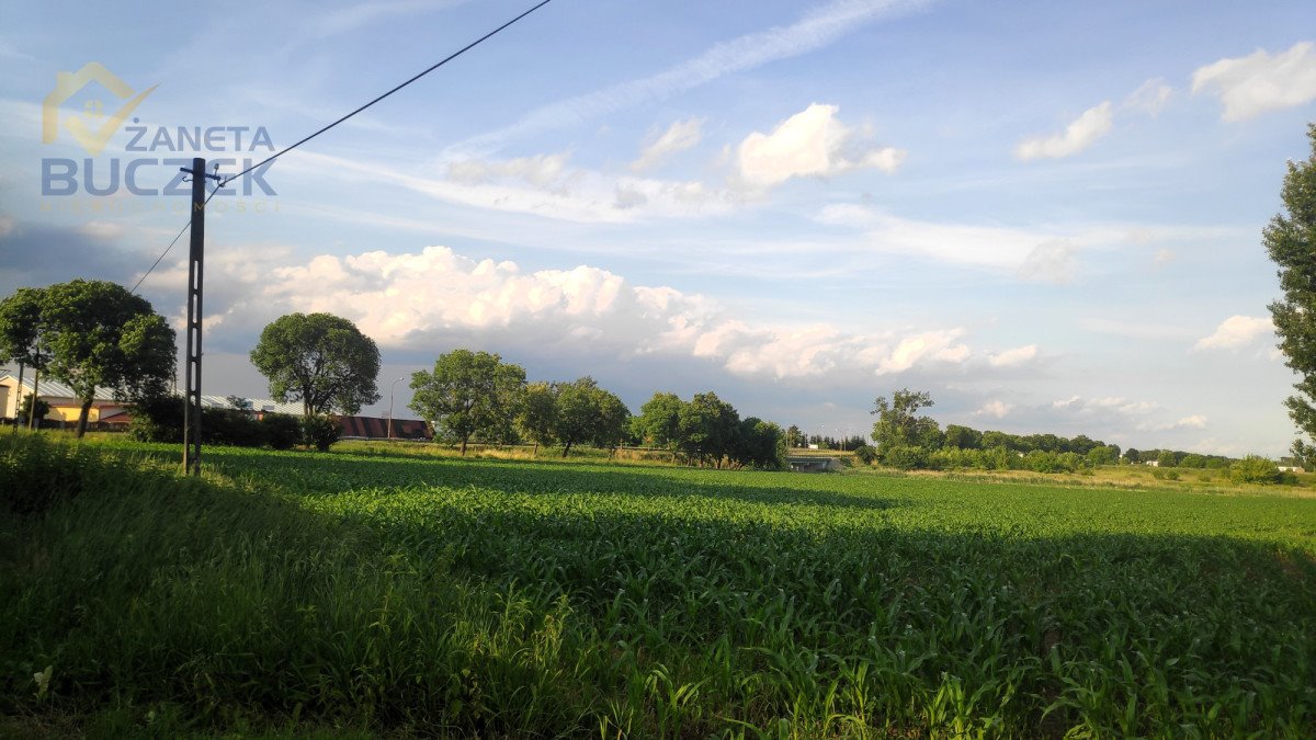 Działka pod inwestycję z mediami i warunkami zabudowy Kopytów  34 470m2 Foto 1