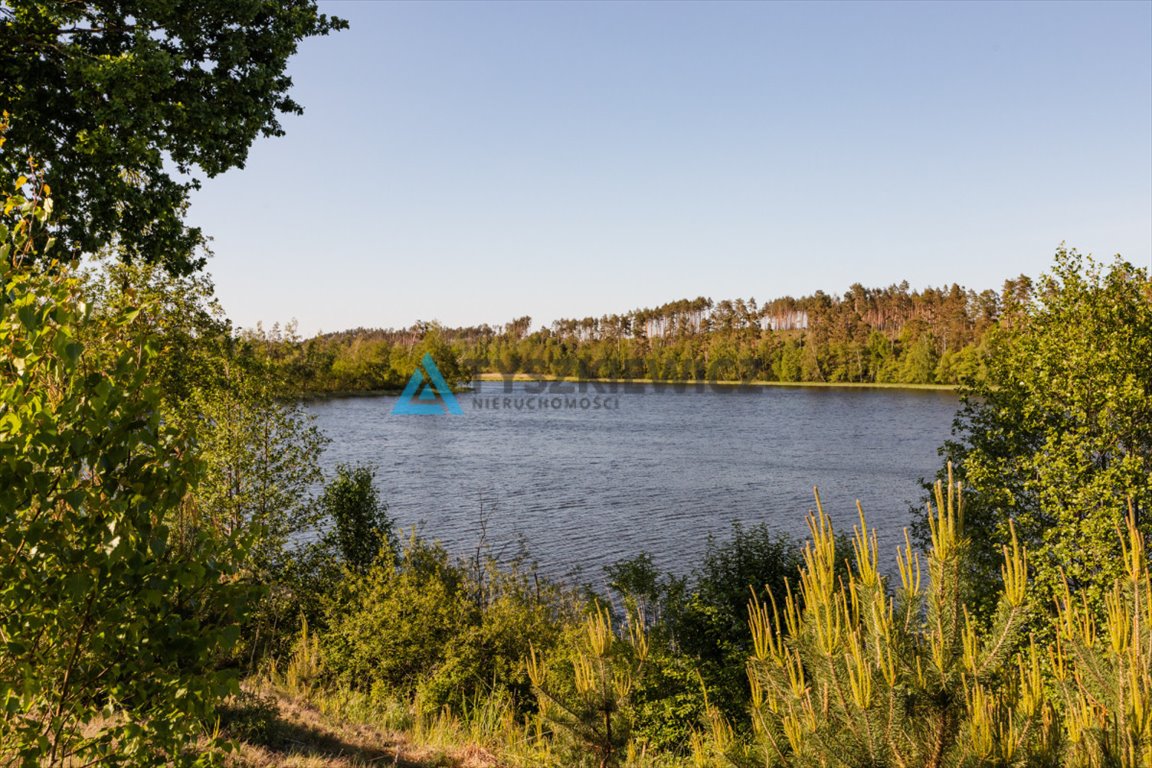 Działka rolna na sprzedaż Leśno  3 674m2 Foto 7