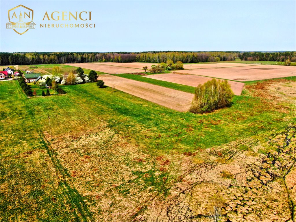 Działka budowlana na sprzedaż Skrybicze  9 200m2 Foto 4