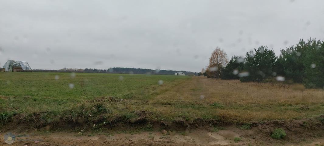 Działka usługowa przy trasie gdańskiej, 3,1 ha, możliwość powiększenia Przyborowice Górne  60 000m2 Foto 1