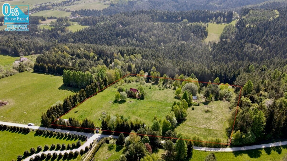 Działka budowlana na sprzedaż Berest  3 000m2 Foto 1