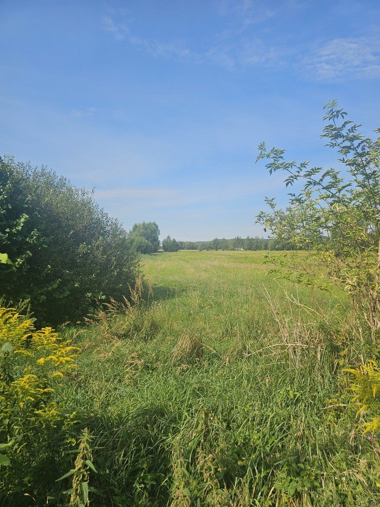 Działka rolna na sprzedaż Bogdaniec  3 578m2 Foto 1