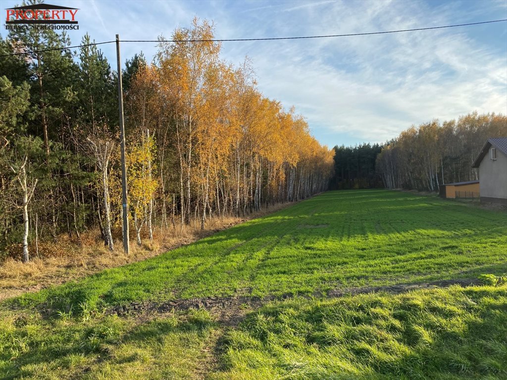 Działka leśna na sprzedaż Barłogi, BARŁOGI  11 400m2 Foto 1