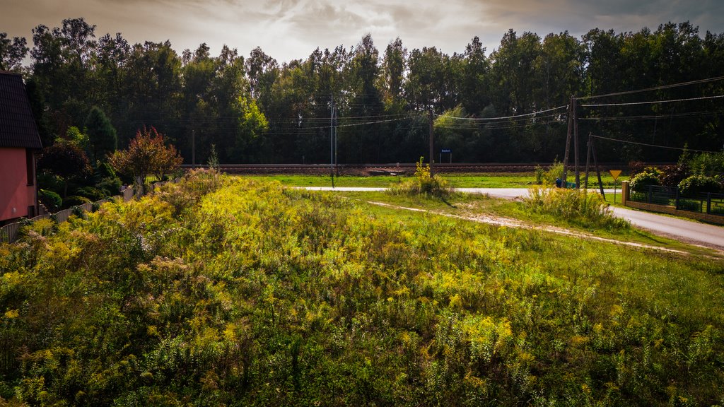 Działka budowlana na sprzedaż Bedoń Przykościelny, Wesoła  1 602m2 Foto 5