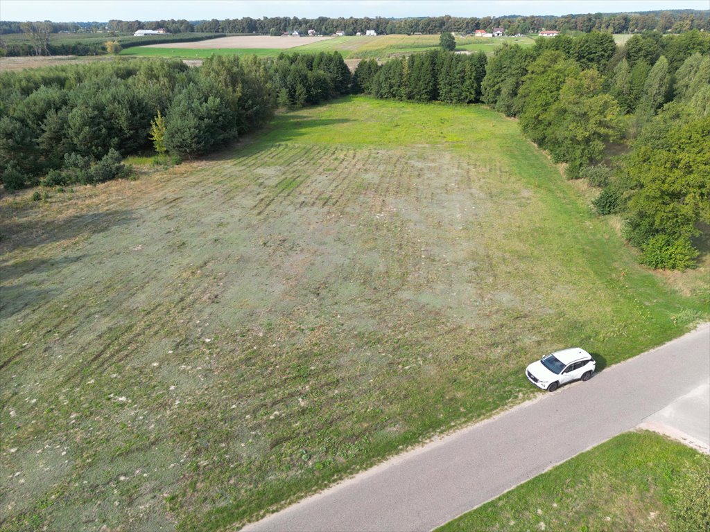 Działka budowlana na sprzedaż Nowe Paski  3 002m2 Foto 3