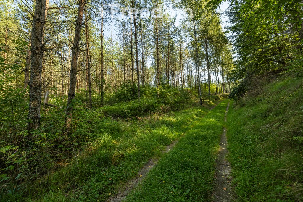 Działka siedliskowa na sprzedaż Niepoczołowice, Zatorze  77 078m2 Foto 14