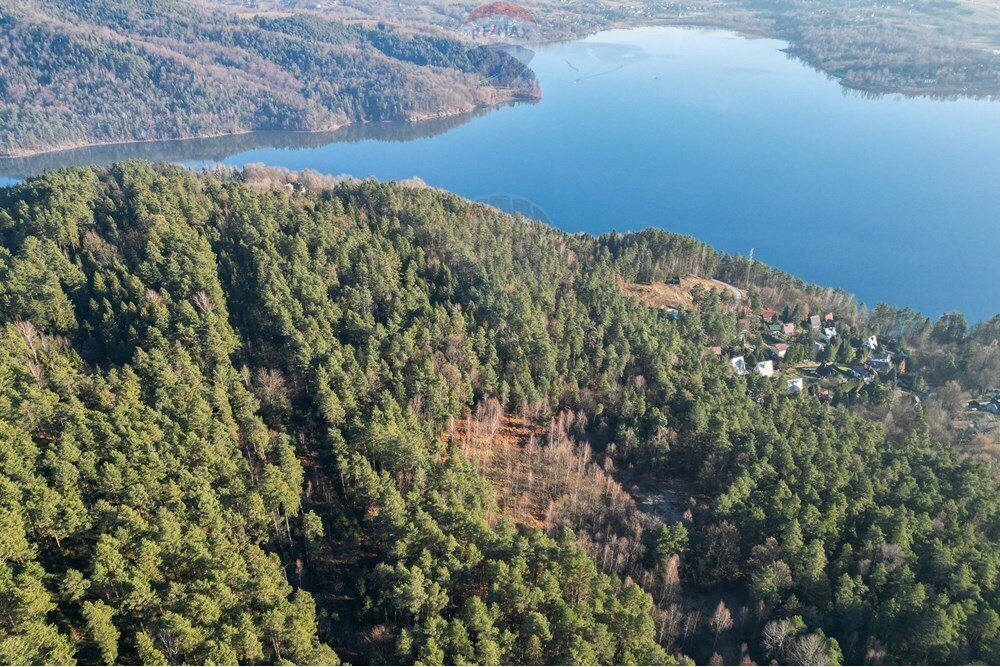 Działka leśna na sprzedaż Tresna  22 196m2 Foto 3