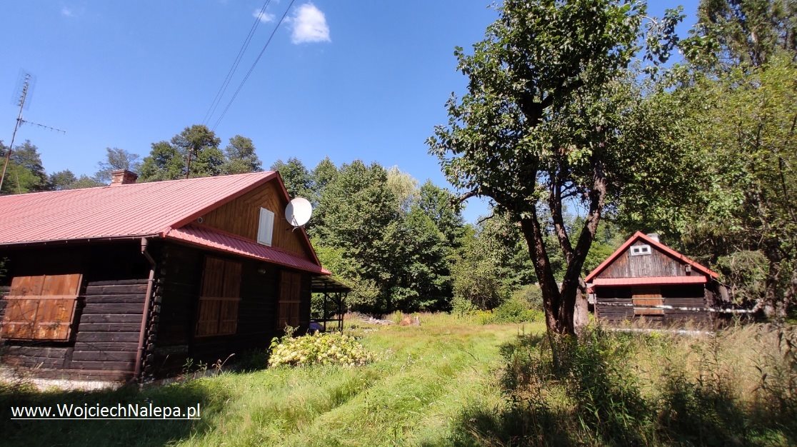 Działka siedliskowa na sprzedaż Janów Lubelski  172 850m2 Foto 10