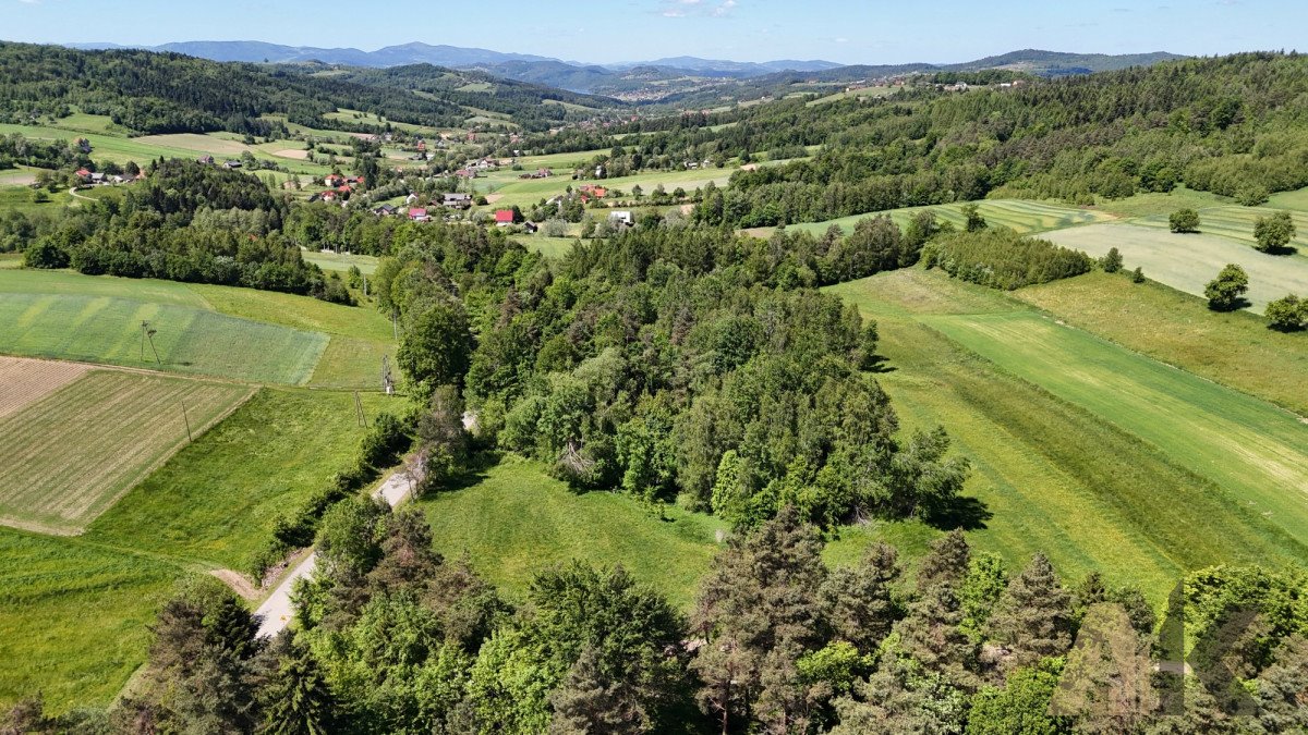 Działka budowlana na sprzedaż Podole-Górowa  4 000m2 Foto 9