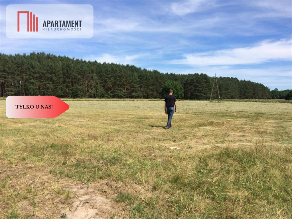 Działka gospodarstwo rolne na sprzedaż Brzózki  7 150m2 Foto 2