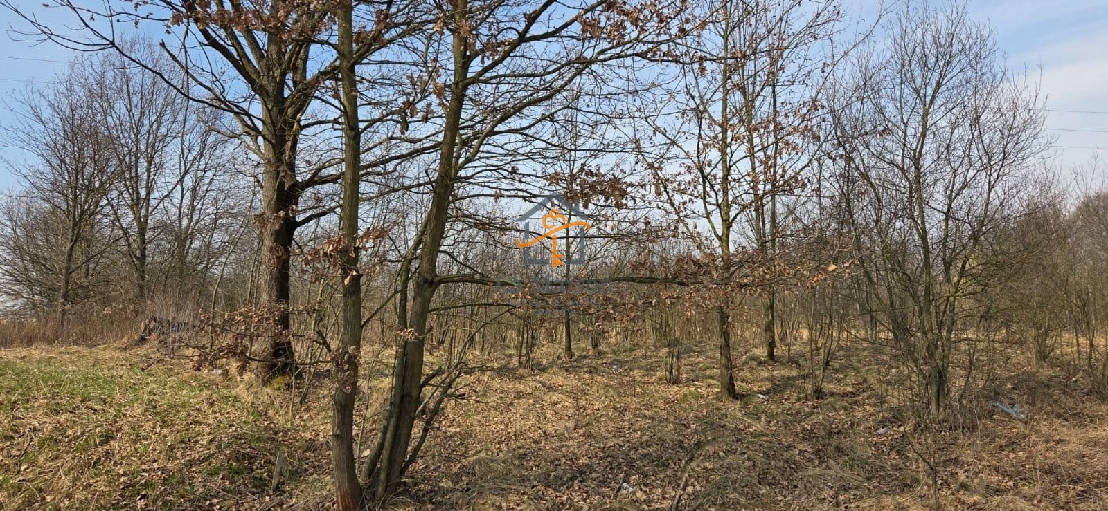 Działka w Marcyporębie z potencjałem pod dom i zagrodę Marcyporęba  2 847m2 Foto 1