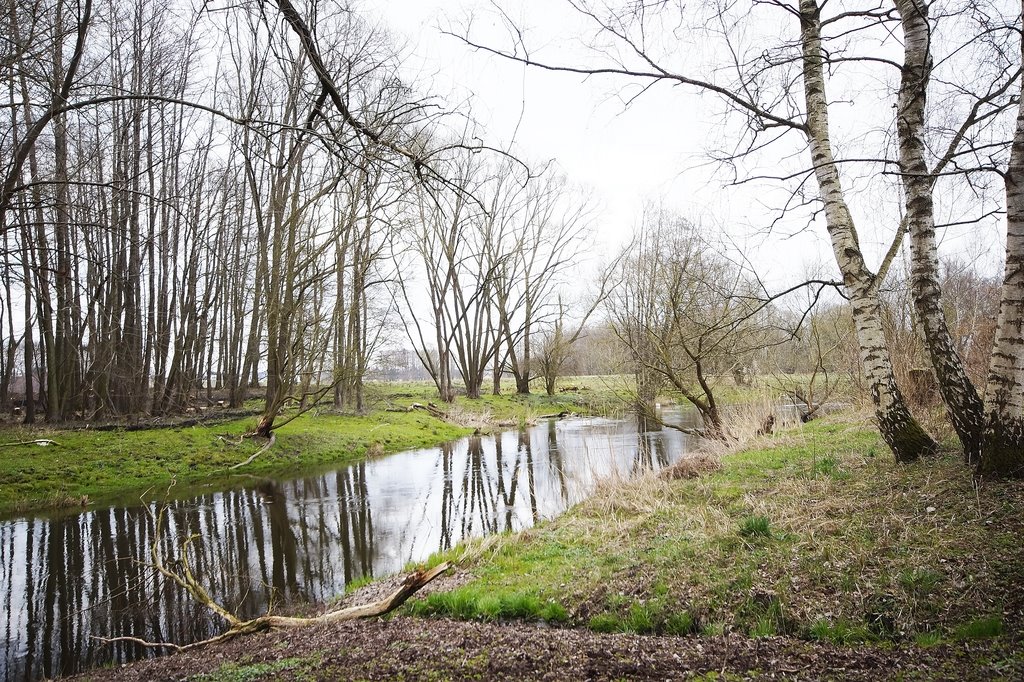 Dom na sprzedaż Żarowo  115m2 Foto 12