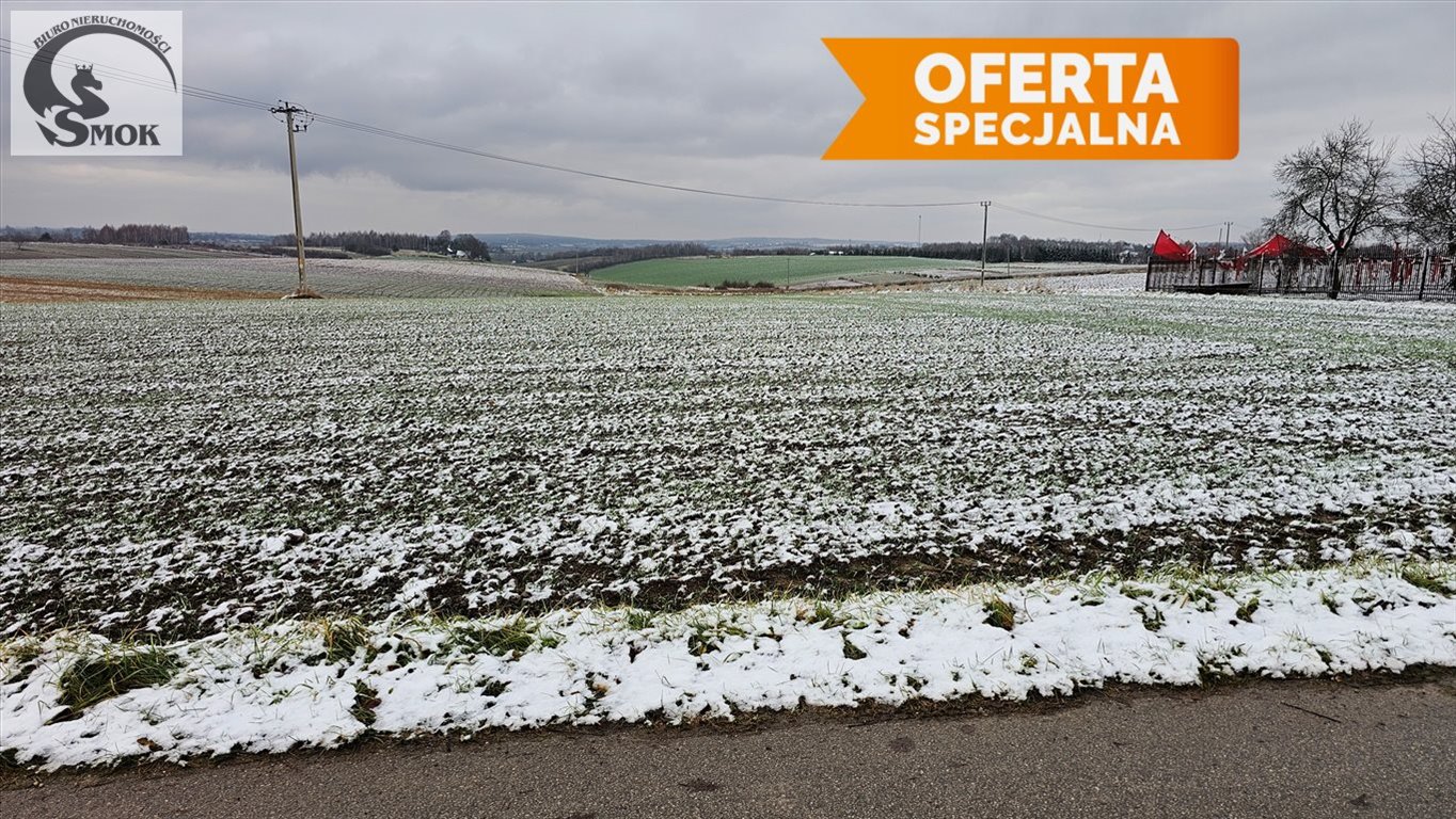 Działka budowlana na sprzedaż Lesieniec  1 300m2 Foto 1