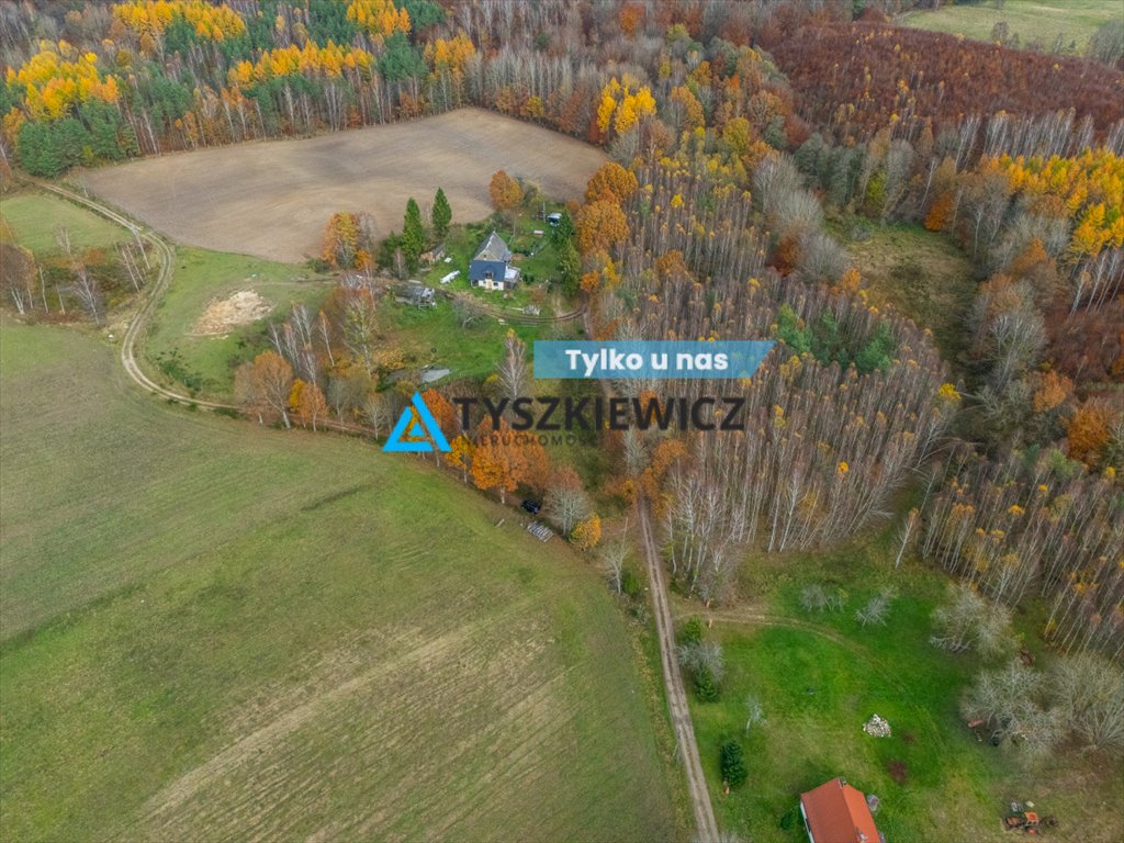 Działka 2430 m² z warunkami zabudowy, staw i las Żabno  2 430m2 Foto 1