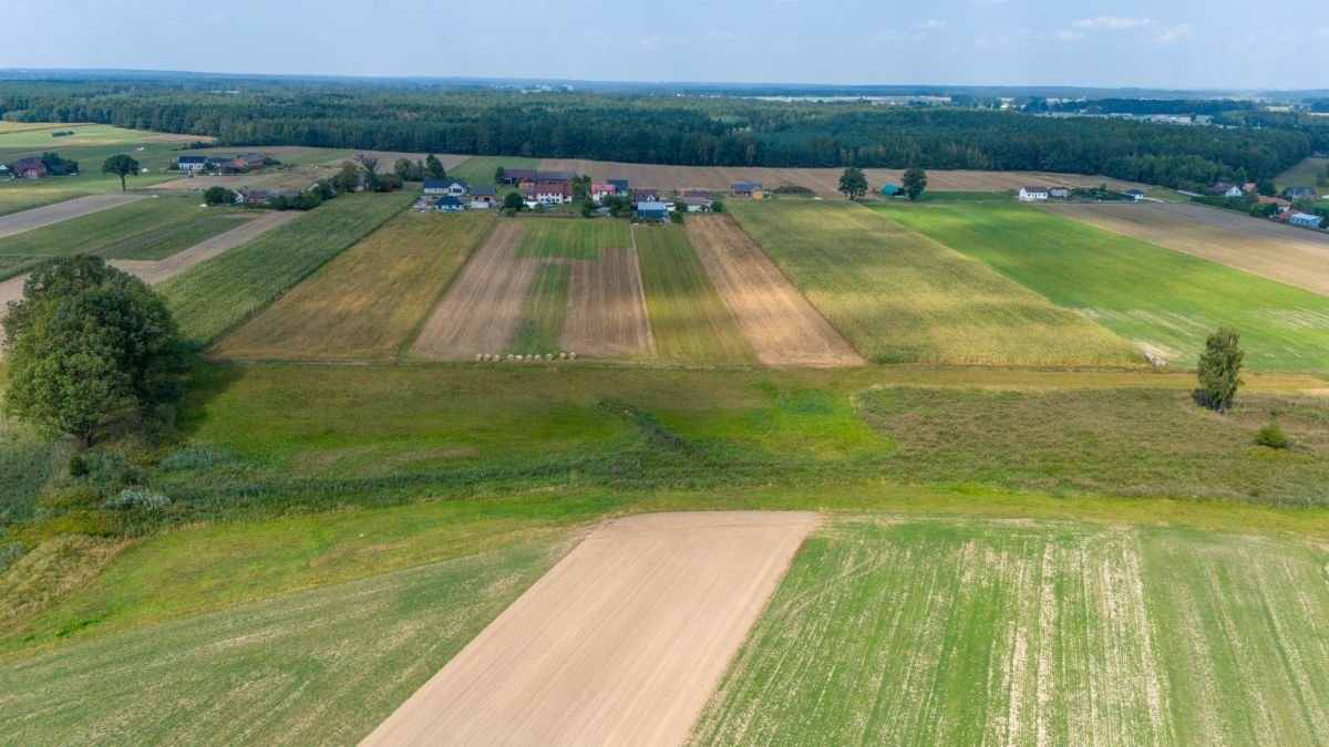 Działka rolna na sprzedaż Sieraków Śląski, Wyzwolenia  6 792m2 Foto 2