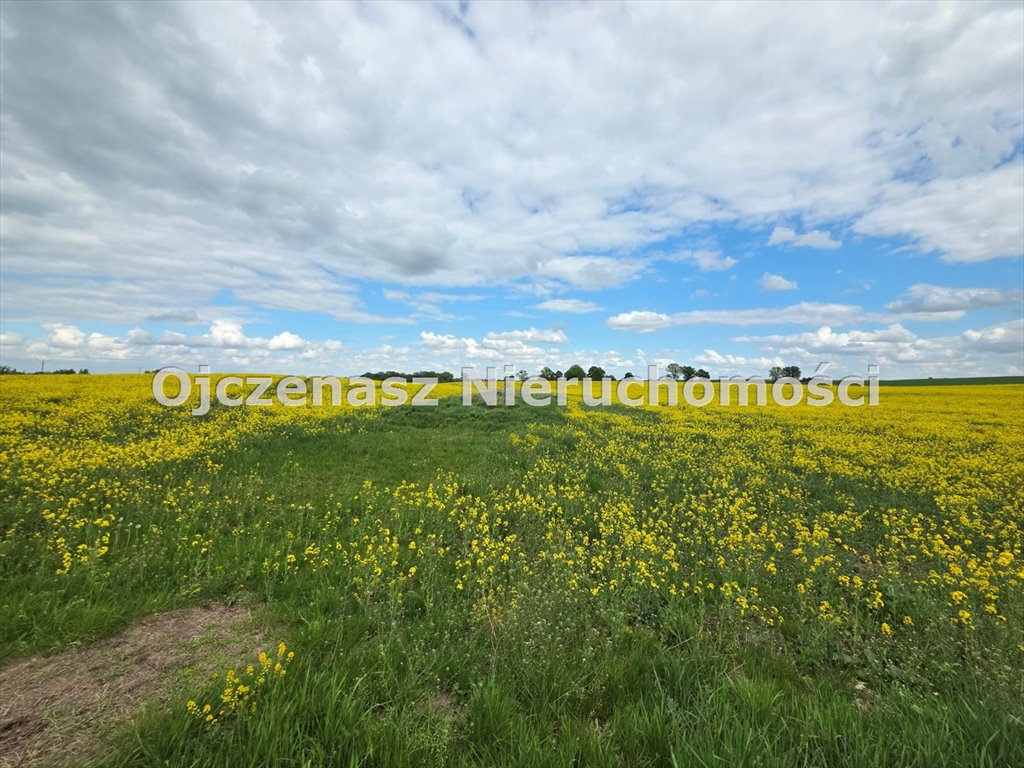 Sprzedam działkę 7 920 m² z warunkami zabudowy w Gliszcz Gliszcz  7 920m2 Foto 1
