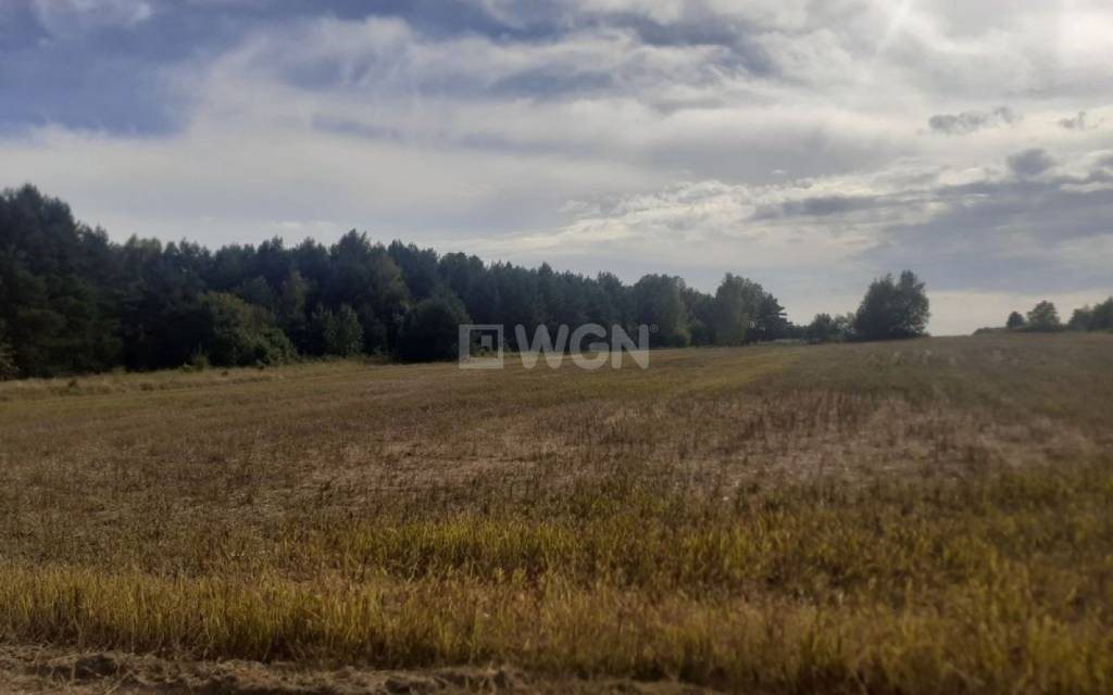 Działka siedliskowa na sprzedaż Jaworznik, Wschodnia  29 500m2 Foto 2