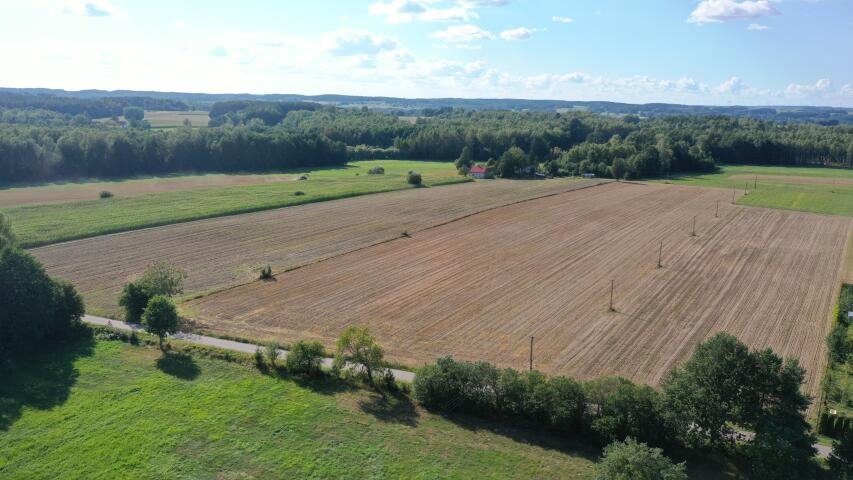 Działka budowlana na sprzedaż Przytuły  3 001m2 Foto 14