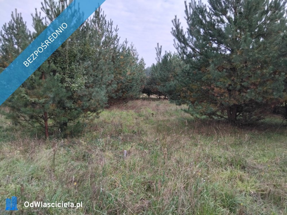 Działka 1113 m² w Krzyżówce (blisko lasu i Warszawy) Krzyżówka, Wiejska  1 113m2 Foto 1