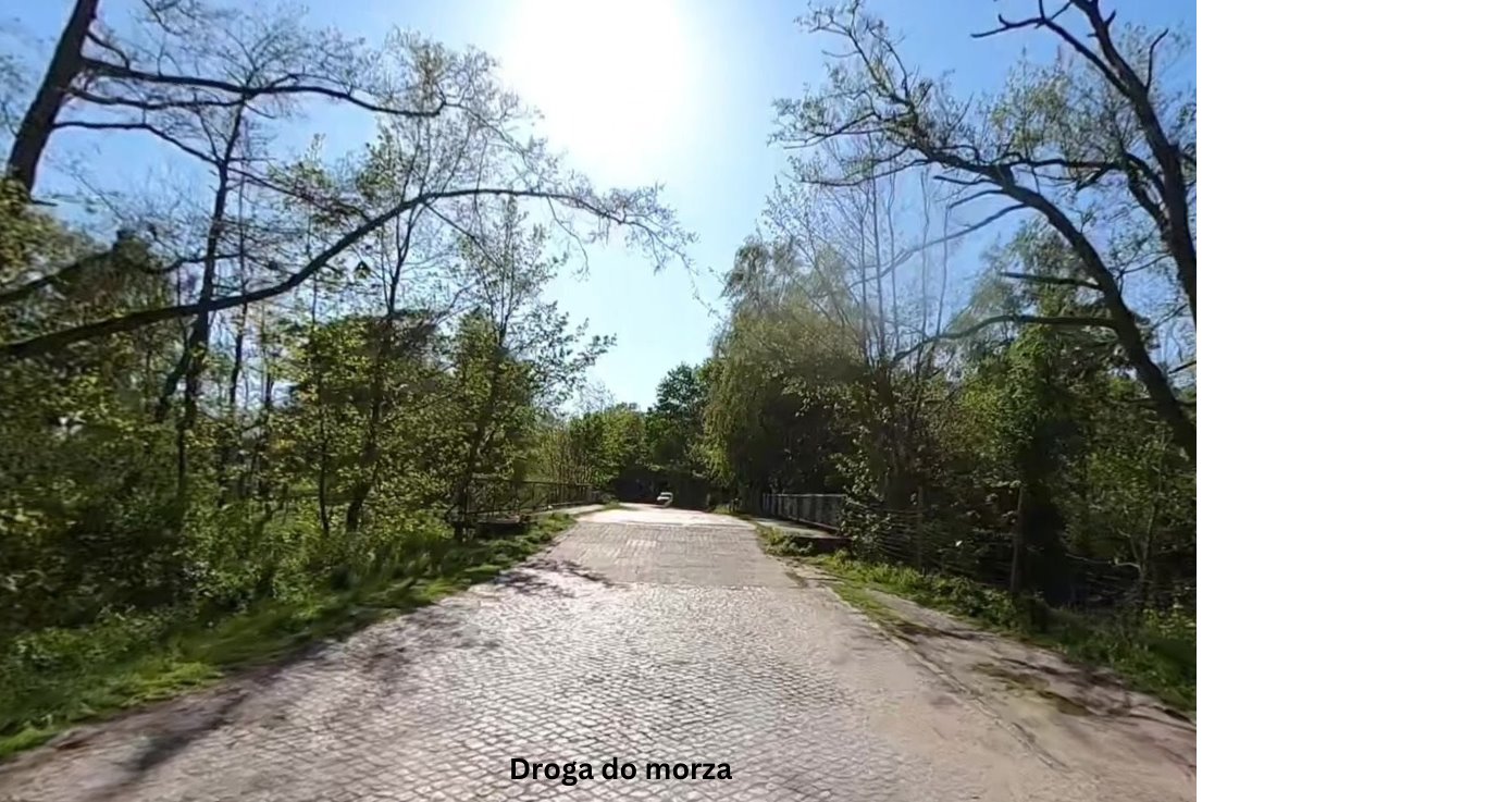 Działka rolna na sprzedaż Pleśna  749m2 Foto 8