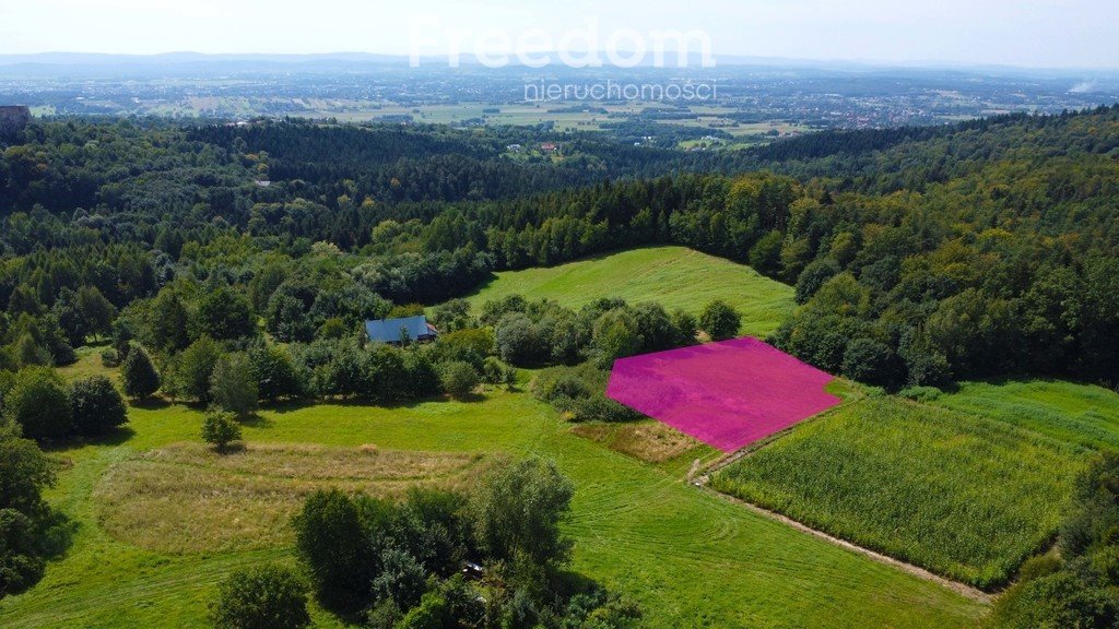 Działka inna na sprzedaż Korczyna, Podzamcze  3 000m2 Foto 3